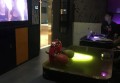 上海上档次的夜总会招聘商务迎宾