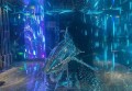 招聘学员文字文案（招募文字创意新星：探索文字魅力的旅程）